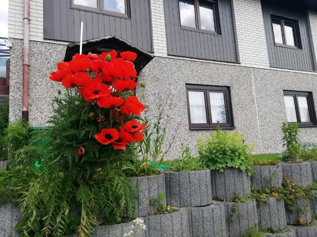 Ferienwohnung Suetovius Oberwiesenthal Ngoại thất bức ảnh